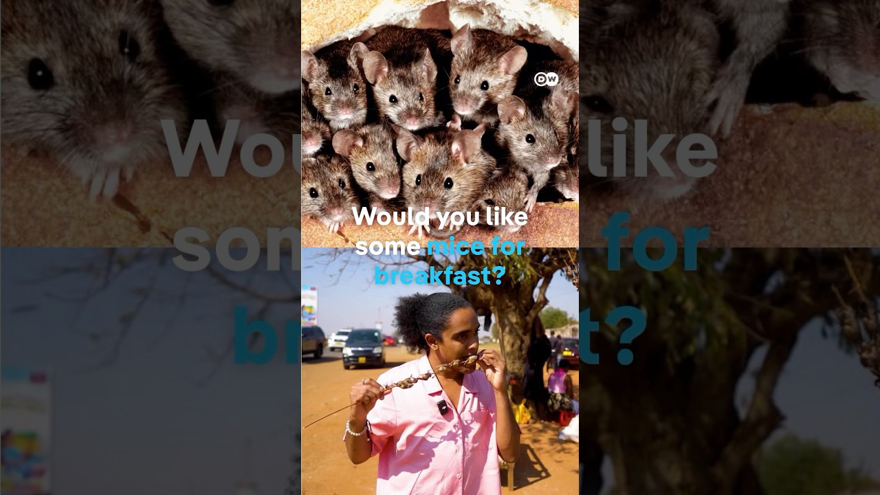 Are you brave enough to taste real Malawian foods? 