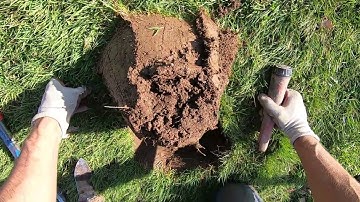 LIVE DIG ACTION!! Nokta Legend 11" coil hits deep dime at 40khz in the park.