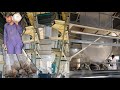 Complete Production Process of Greenhouse Plastic Film | Step-by-Step Guide