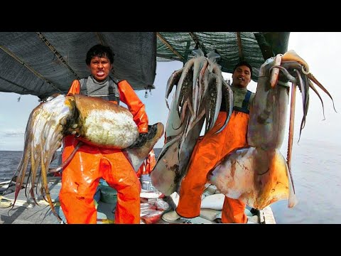 Vídeo: Los Pescadores Capturaron Un Calamar Gigante - Vista Alternativa