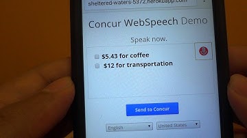 Submit your expenses with voice using Web Speech API (Chrome) and Concur SDK for nodejs