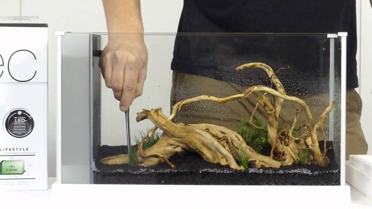 fluval spec v new version
