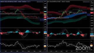 VTS 101 Live Chart