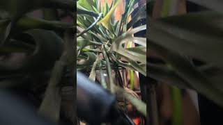 hardware minimal techno improvisation 2