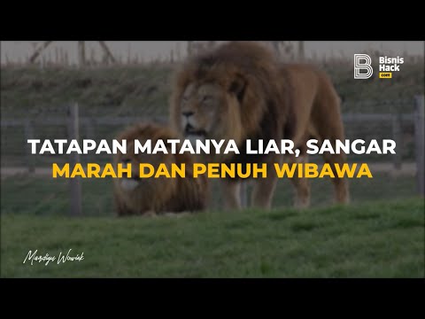 Video: Raja Singa Sebagai Metafora Untuk Bekerja Dengan Anak Batiniah