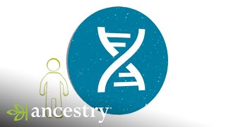 AncestryDNA | Learn More about AncestryDNA Matches | Ancestry