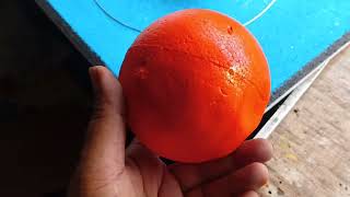 Rotation and Revolution of Sun,Earth and Moon 3D model BY A2Z PROJECT AND MODEL Palwal