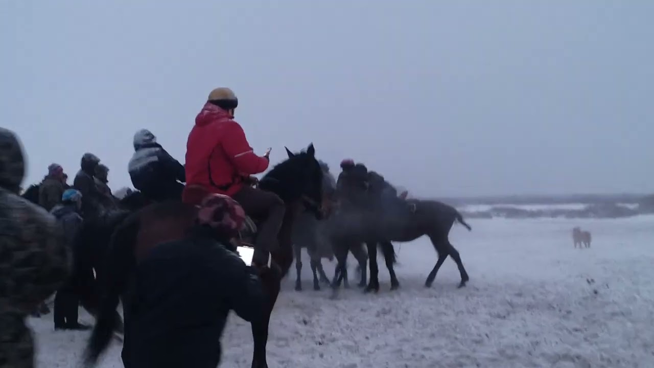 Суусамыр. 1992  VS 1994
