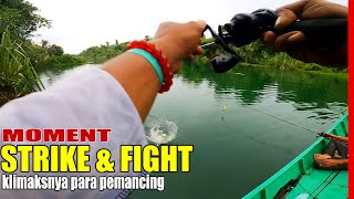 Casting Toman Di Sungai Pidada Lampung Best Fishing Video