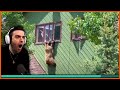 We Laugh and React to the CRAZY Media share you send #41