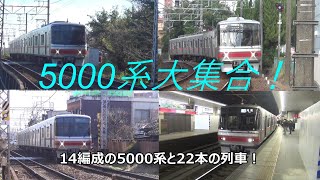 5000系大集合！14編成の5000系と22本の列車！