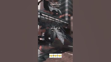 قارئ: ياسر الدوسري 🤍 #قرآن #تلاوة_خاشعة #راحة_نفسية #تلاوات #quran #قران_كريم #ياسر_الدوسري