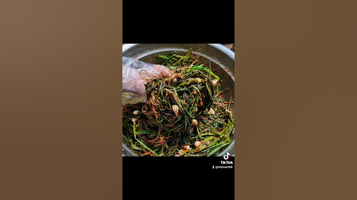 고들빼기 5단 구매하고 쪽파 한단 사서 하루정도 절여서고들빼기 김치 완성 조금씩 사서  먹으니 너무 먹을것이 없네요고들빼기김치만들어 놓으니 뿌듯네요 #고들빼기#고들빼기김치#구독