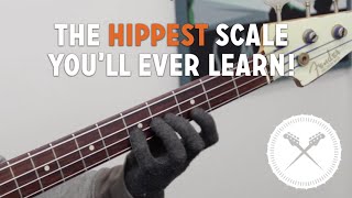 One Of The "Hippest" Scales You'll Ever Learn! /// Scott's Bass Lessons (L#145)