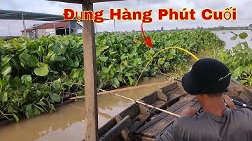 Câu Cá Tra, Cá Cóc Trên Xuồng, Phút Cuối Lụm Con Hugo Quá Đã | Trần Đại Fishing