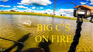 BIG C'S PAYLAKE 2024 MISC. CATCHES (+36lbs pig)🔥🔥🔥