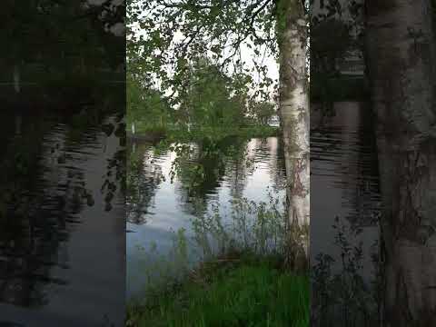 فيروز سألتك حبيبي لوين رايحين من Fairuz فيروز Saaltak Habiby