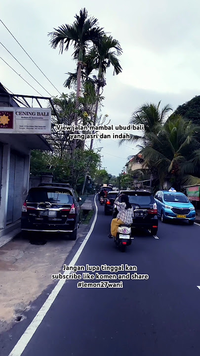 Mentahan videonya bolo jalan mambal bali yang asri dan indah  #view #video #lemon27wani #shorts
