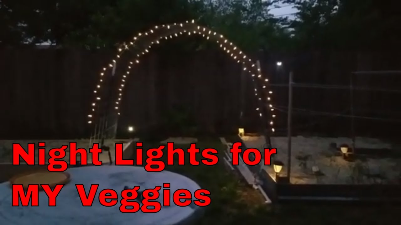 DIY Trellis Lights / Night Lights for My Veggies YouTube