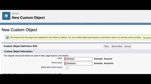 Create custom objects using object manager and schema Builder SALESFORCE