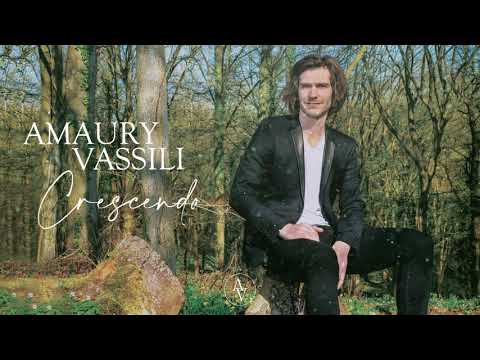 Amaury Vassili - You'll Never Walk Alone (Official Visualizer)