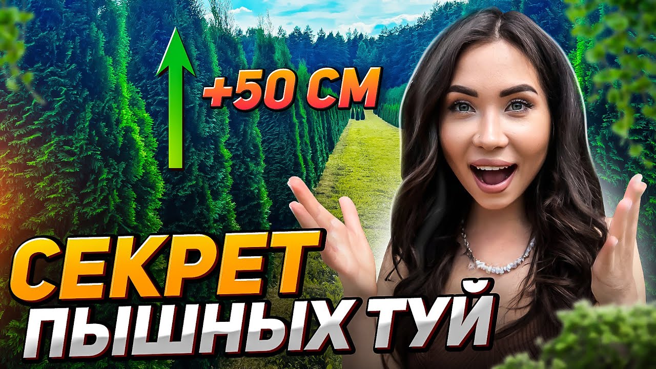 😮💥ЛУЧШИЙ МЕТОД для пышной туи, о котором мало кто знает - YouTube