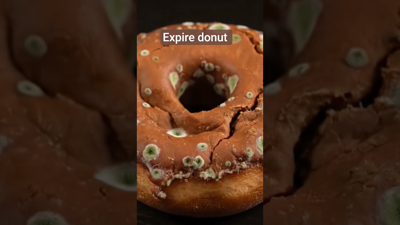 🍩 Broken Donut Form ➡️ Explained to Perfection ✨ From Flop to Luxury Bite 🔥 