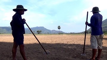 Bà gánh cháu lên chân núi Cấm làm đường thốt nốt - Phnom Pi, Châu Lăng, Tri Tôn, An Giang 23/04/2020