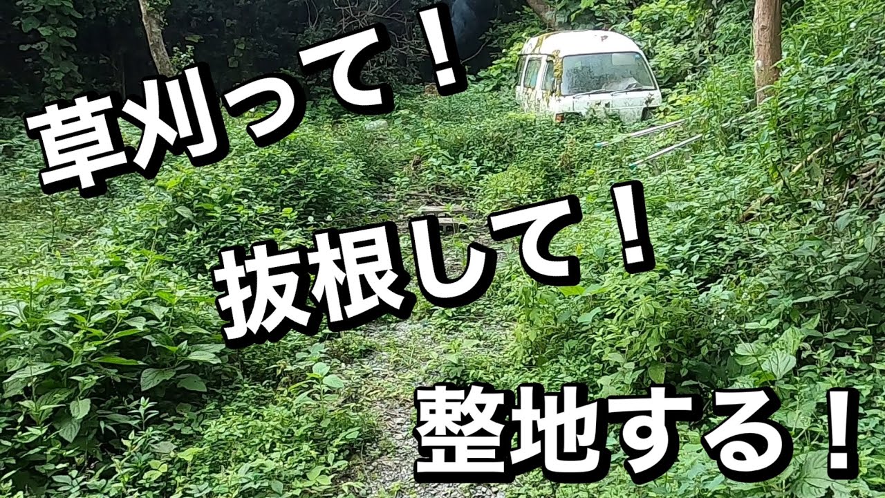 夏の間に荒れ果てた森を整地する！ 【りあるどうぶつの森】 - YouTube