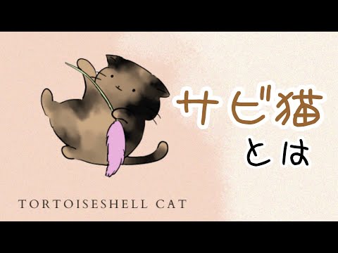 【猫】サビ猫とは【雑学・豆知識】tortoiseshell cat