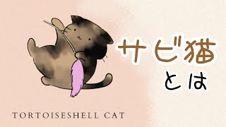【猫】サビ猫とは【雑学・豆知識】tortoiseshell cat