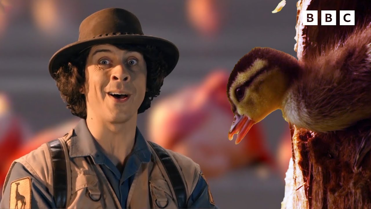 Explore the Water Animals | Elephants, Ducks, Flamingos and MORE | Andy's Amazing Adventures