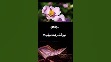 #انوار_الهدى #القرآن_الكريم #الشيخ_عبد_الباسط_عبد_الصمد #سورة_النحل