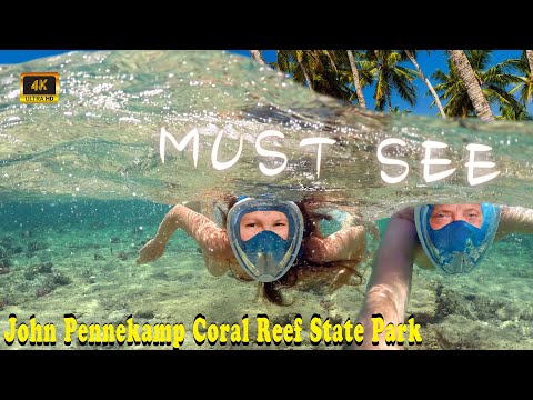 🐠 Uncover Hidden Wonders! Dive into the Secrets of John Pennekamp Coral Reef SP! @ohmaitravels7829