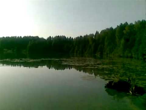 светлояр озеро фото онлайн
