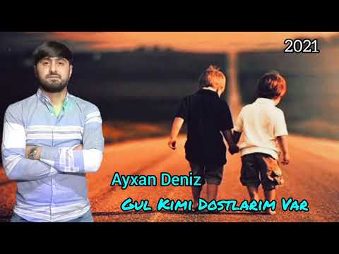 Ayxan Deniz - Gul Kimi Dostlarim Var 2021 ( Official Audio )