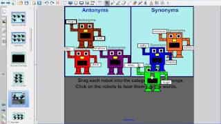 Synonyms & Antonyms