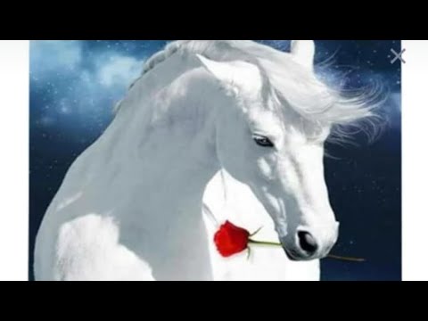وفين قلبي اللي اخدته معاك