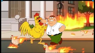 Peter and Chicken Fight