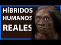 Híbridos Humanos Reales | Remasterizado