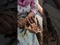 #short #tutorial #mehandi #art Tutorial Indian Mehandi Free Hand