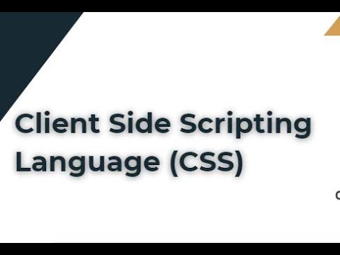 Free Demo | Day 5 | Client Side Scripting Language CSS | For Poly ...