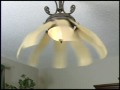 Regency Ceiling Fan