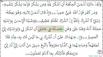 سورة لقمان (12 - 15) عبد الرحمن شاهين