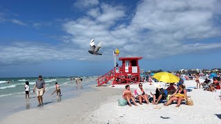 The BEST Beach in the US : Walking Siesta Beach in March 2023