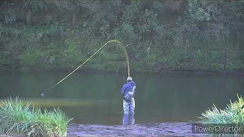 Guideline 4D Compact Multi-tip F/S3 385 grain with Echo Glass Spey 7129