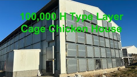 100,000 H type automatic layer cage house in Philippines#layercage #chickenfarming