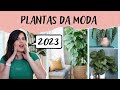 7 PLANTAS DA MODA PARA DECORAR EM 2023 - VIROU FEBRE NAS REDES SOCIAIS