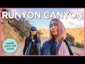 Hiking Runyon Canyon in Los Angeles with the Dogs on Christmas Day 2020