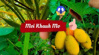 Moi Berai Naimo||Chini Nouhkchu Wo